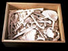 la caja de la arque�loga/the archeologist box
