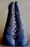 el primer canto de la ballena/first song of the whale
