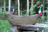 boat made in the forest-barca hecha de bsoque