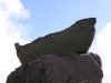 navegar es preciso-to sail is necessary