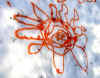 sol.jpg (30968 bytes)
