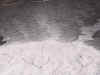 sus texturas // the textures