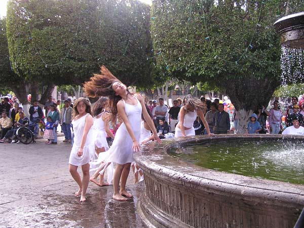 9 ptalos -ninfas urbanas